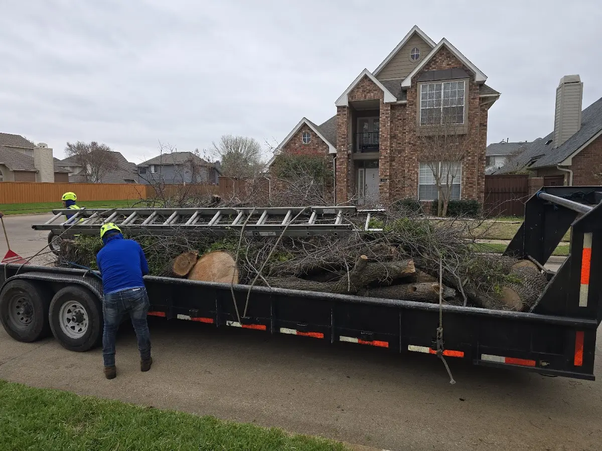 Expert Tree Removal with proper safety equipment in Fort Scott